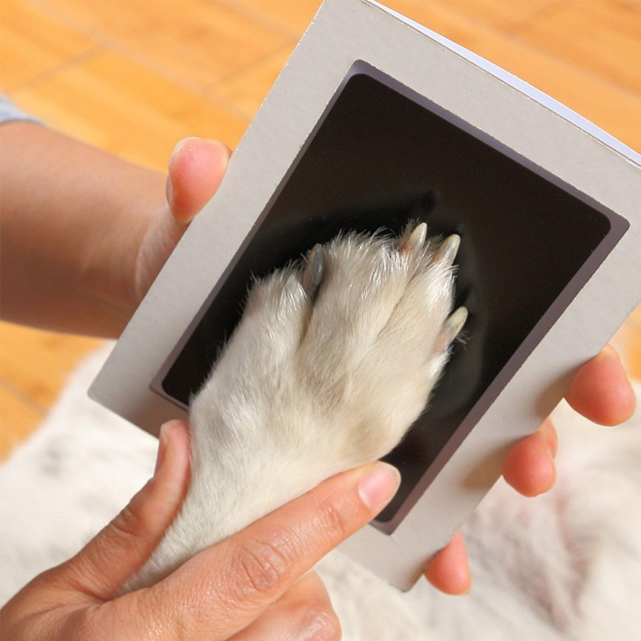 DIY Pet Paw Print Ink Pad Kit