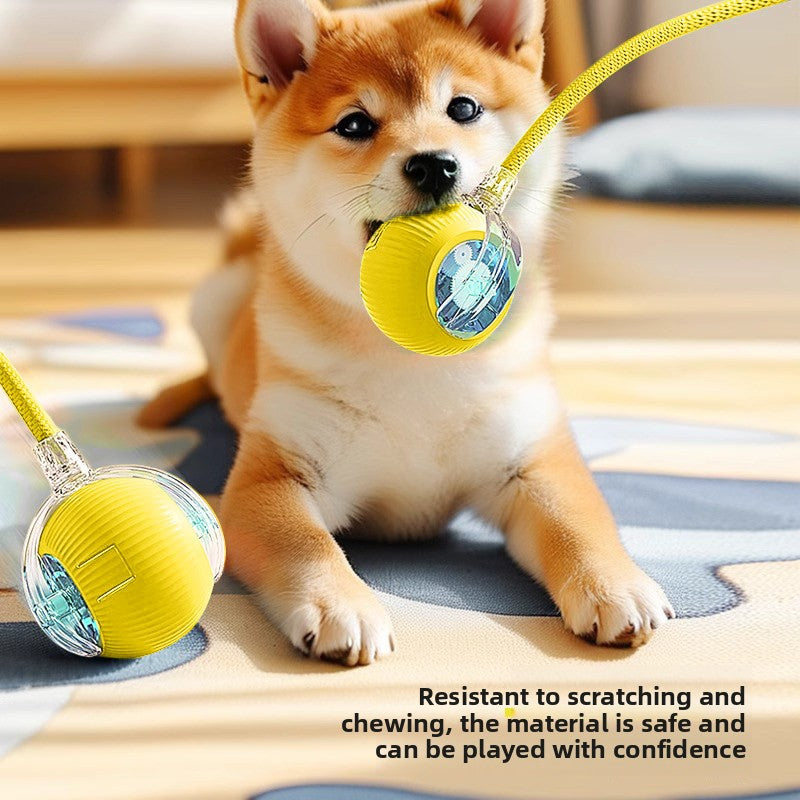 Durable Rope Dog Chew Ball Interactive Pet Toy for Small Medium Puppies