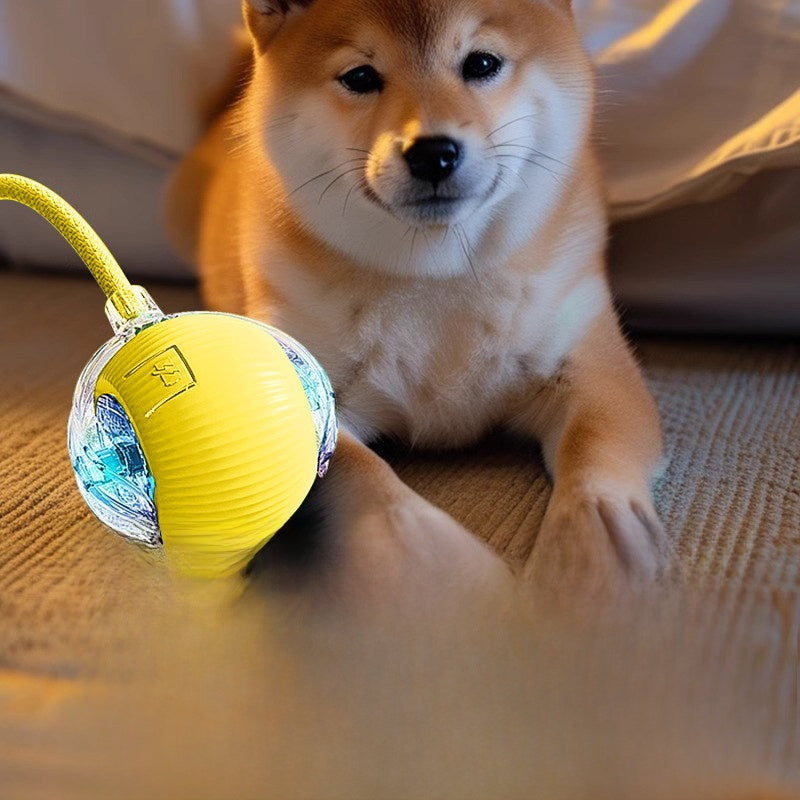 Durable Rope Dog Chew Ball Interactive Pet Toy for Small Medium Puppies