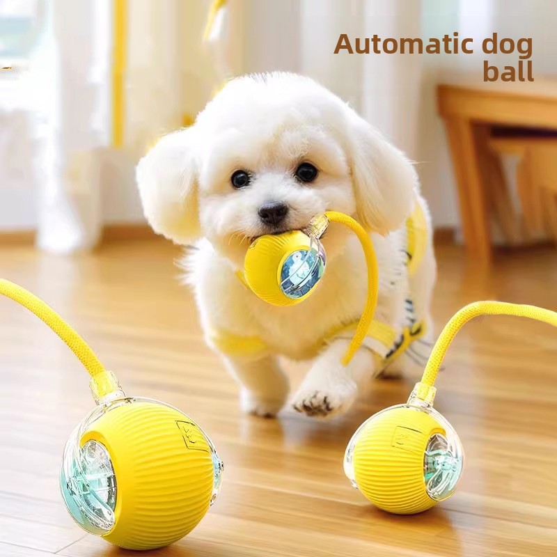 Durable Rope Dog Chew Ball Interactive Pet Toy for Small Medium Puppies