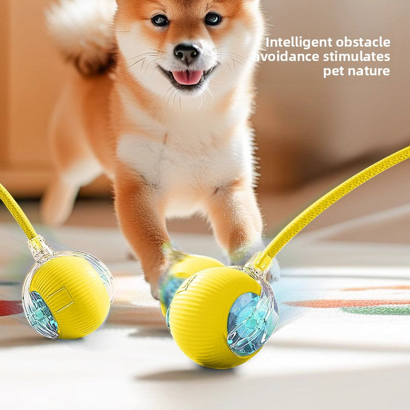Durable Rope Dog Chew Ball Interactive Pet Toy for Small Medium Puppies