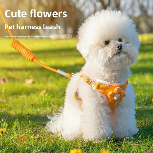 Adjustable Breathable Pet Vest Harness with Leash